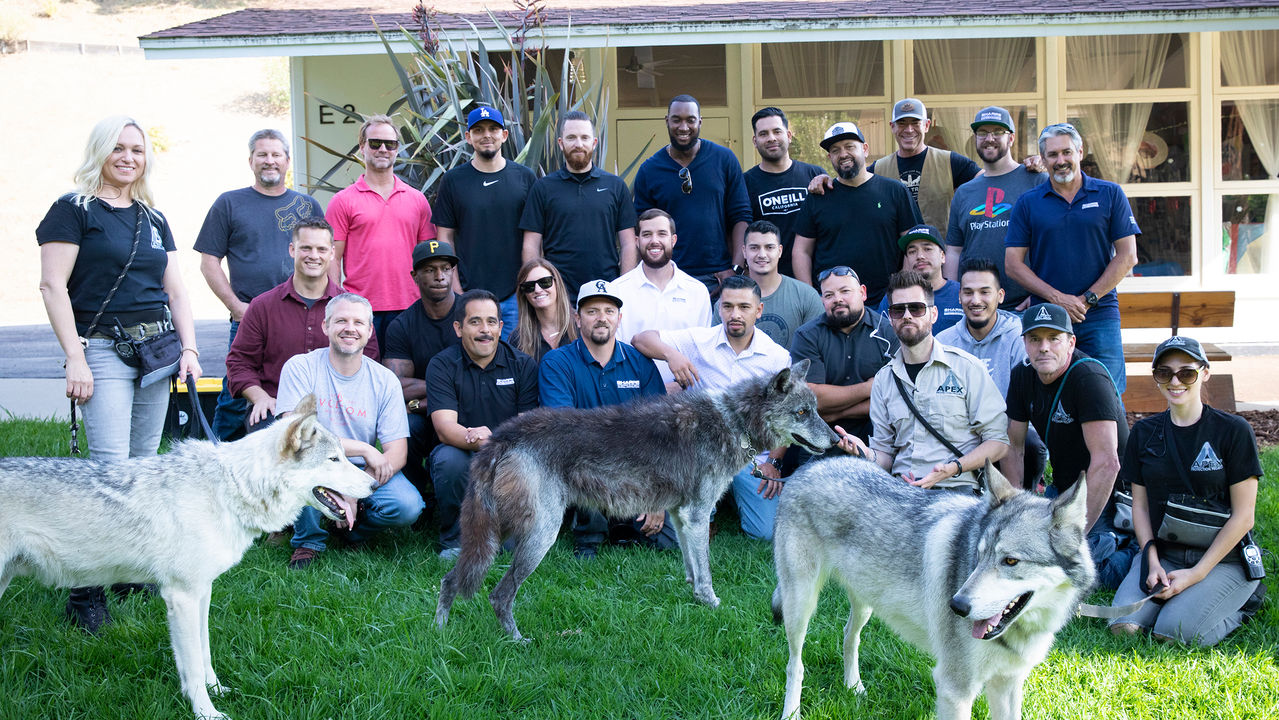 CommandReady MLM Wolfpack